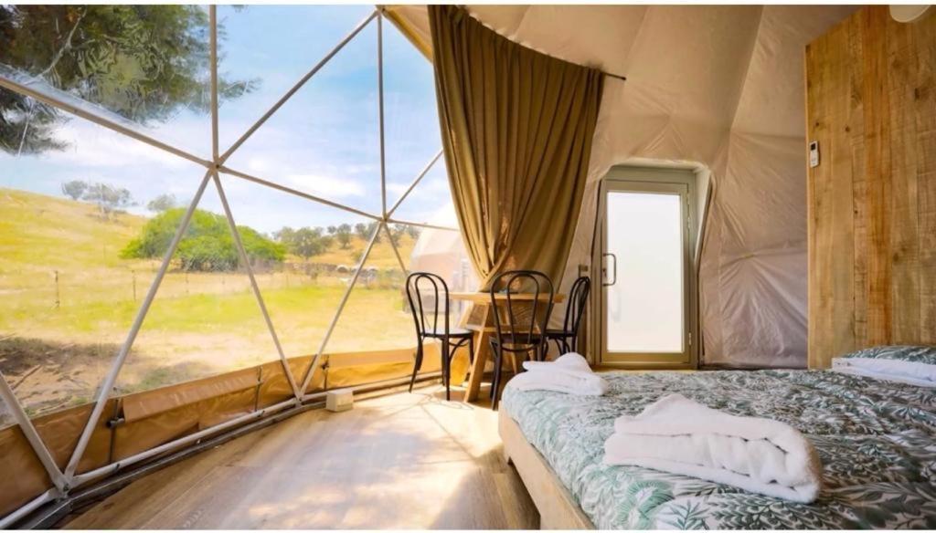 Caravans Park & Glamping Tents In The Vineyard Villa Turda Exterior foto